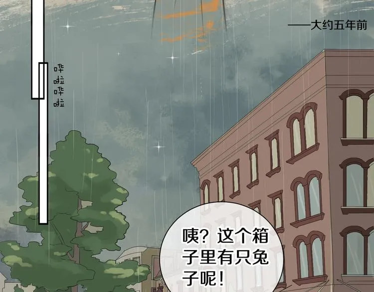 番外 兔子的过往 第15页