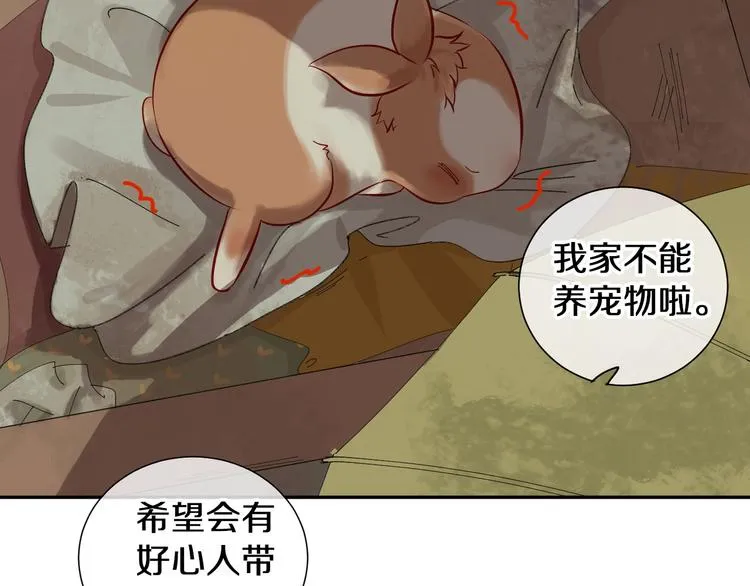 番外 兔子的过往 第17页