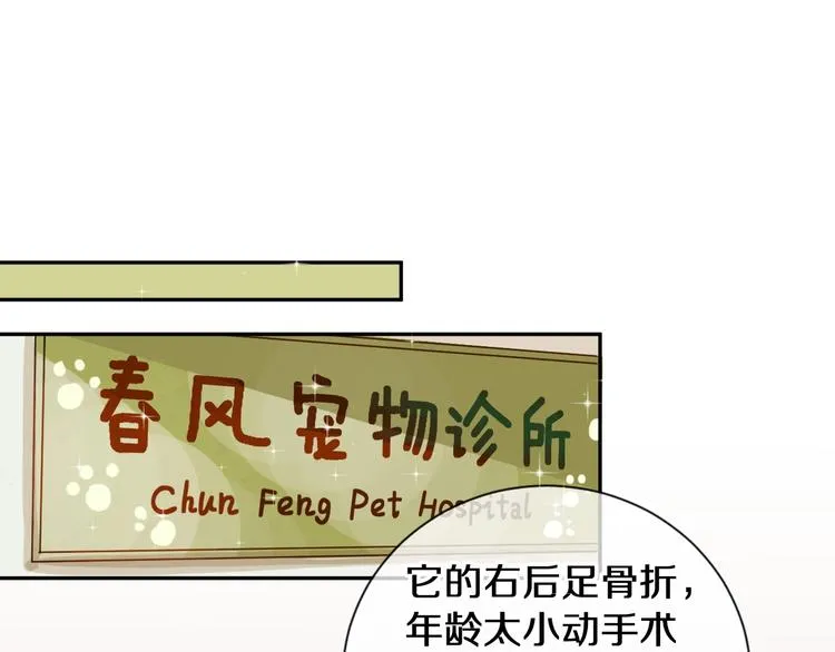 番外 兔子的过往 第21页