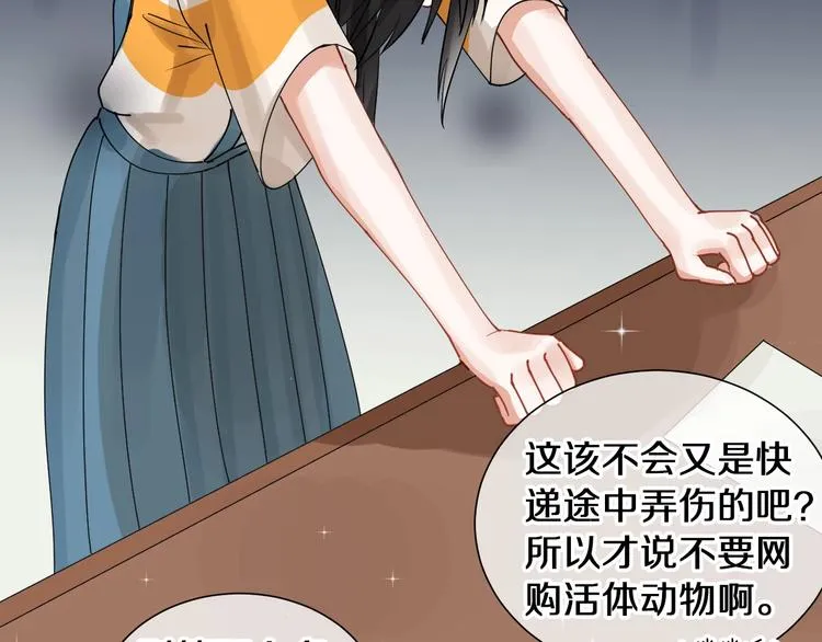 番外 兔子的过往 第27页