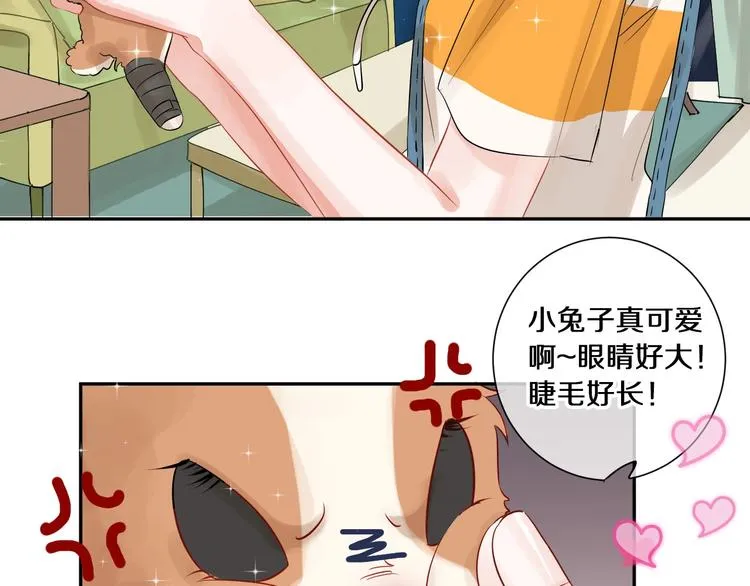 番外 兔子的过往 第33页