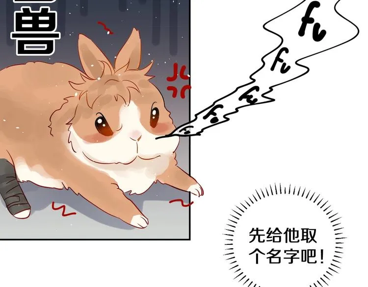 番外 兔子的过往 第37页