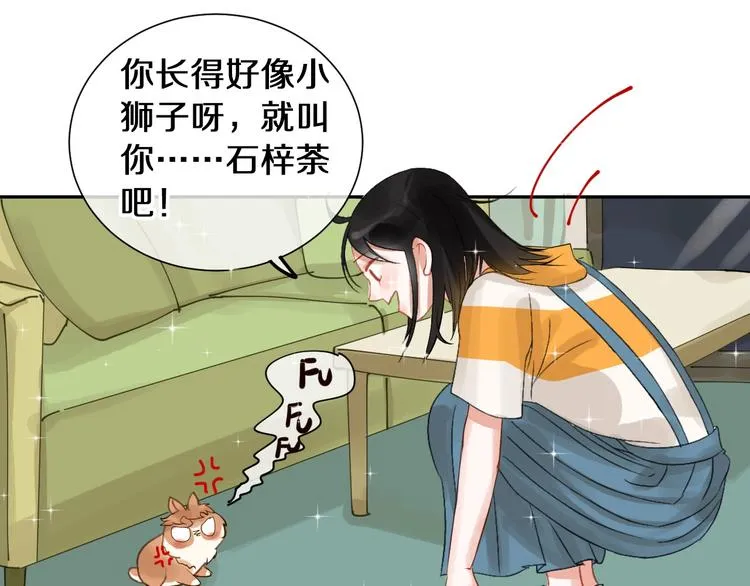 番外 兔子的过往 第39页