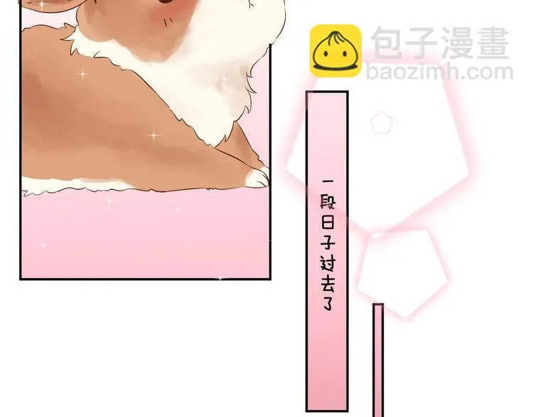 番外 兔子的过往 第43页