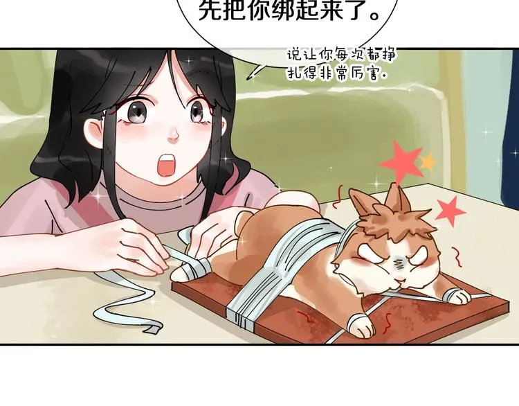 番外 兔子的过往 第45页
