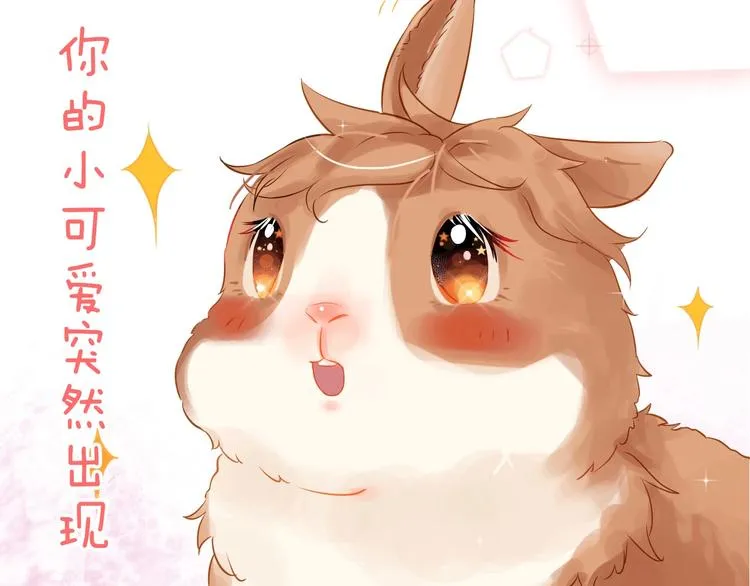 番外 兔子的过往 第52页