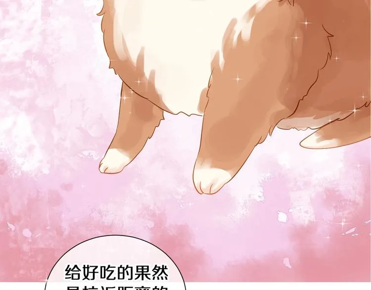 番外 兔子的过往 第53页