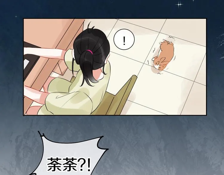 番外 兔子的过往 第60页