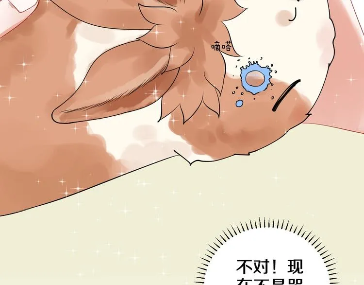 番外 兔子的过往 第69页