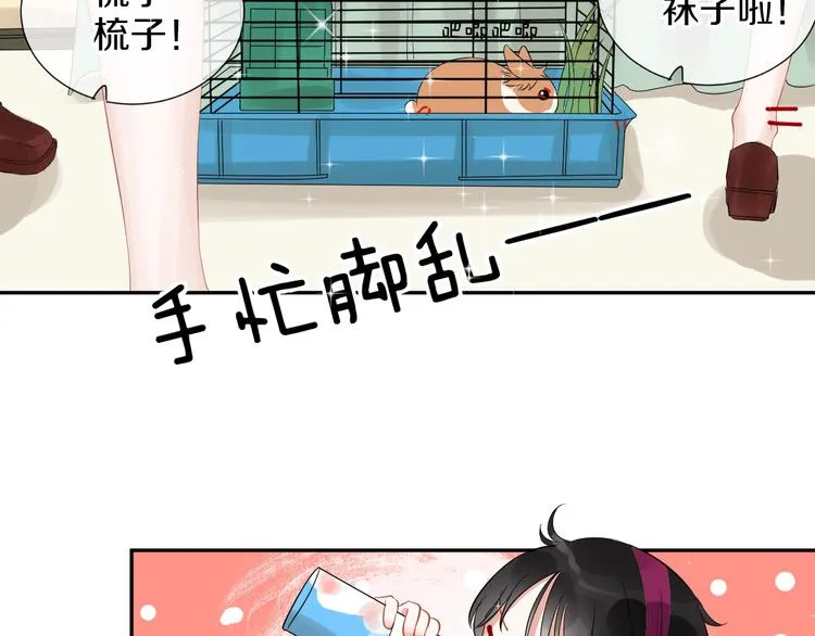 番外 兔子的过往 第91页