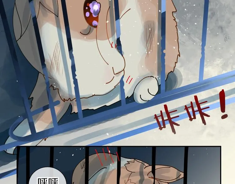 番外 兔子的过往 第104页