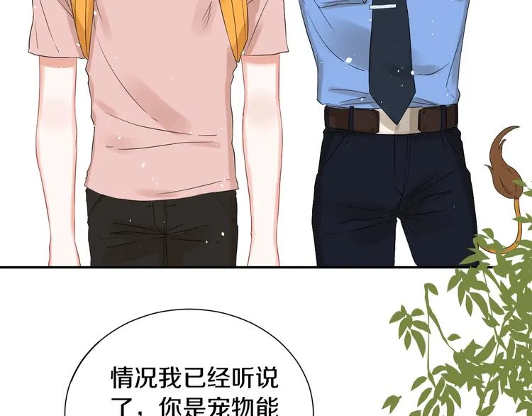 番外 兔子的过往 第201页
