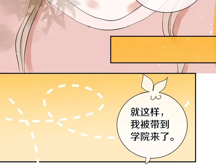番外 兔子的过往 第209页