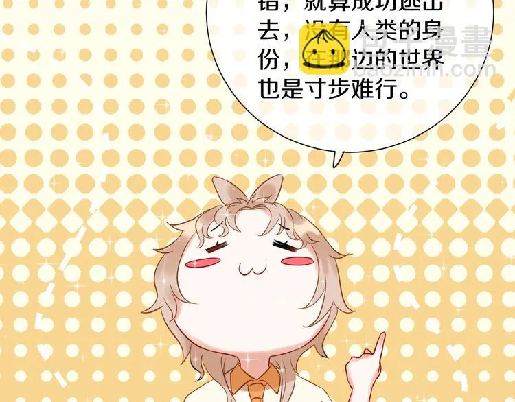 番外 兔子的过往 第211页
