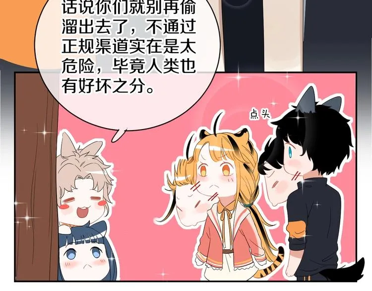 完结篇 狼与虎 第40页