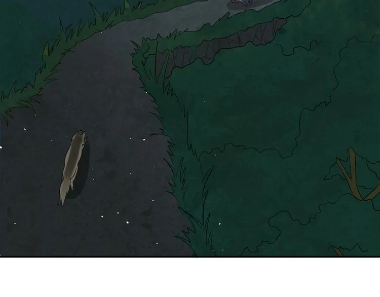第14话 梦想不再只有一个 第36页