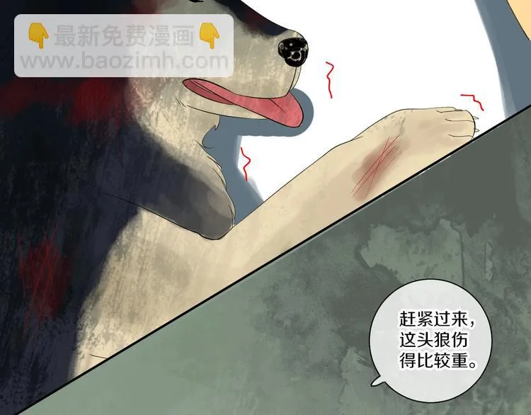 第10话 狼王 第15页