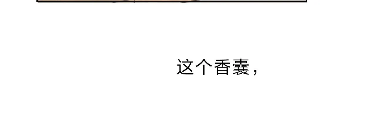 13香囊 第33页