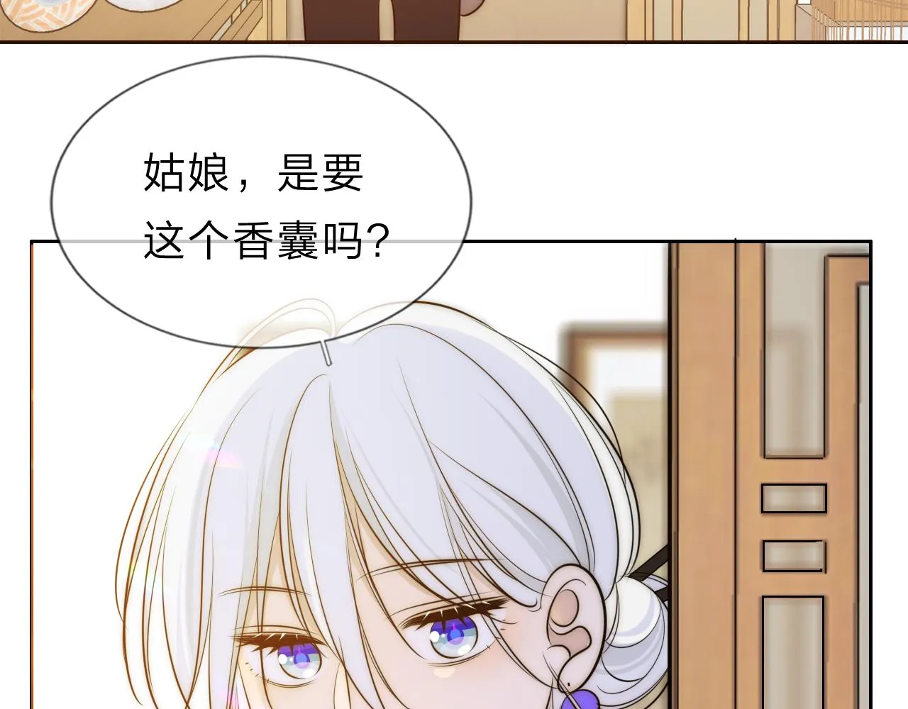 13香囊 第37页