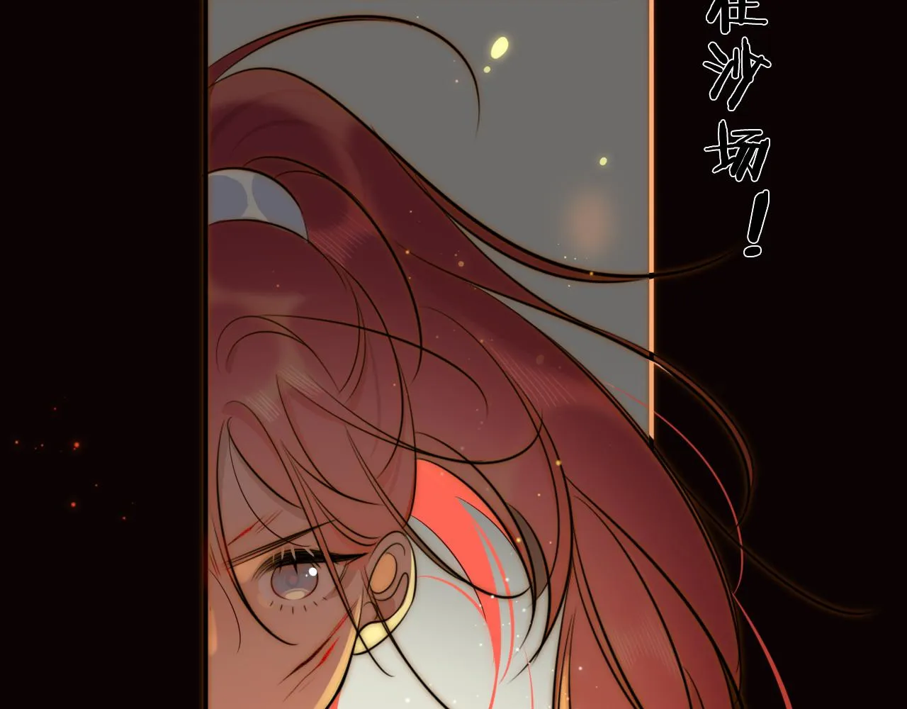 13香囊 第71页