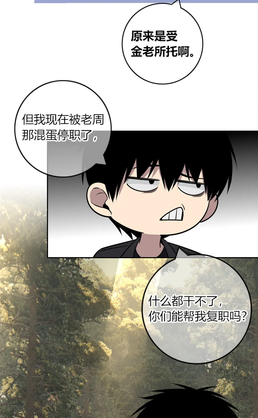 41 41 第28页