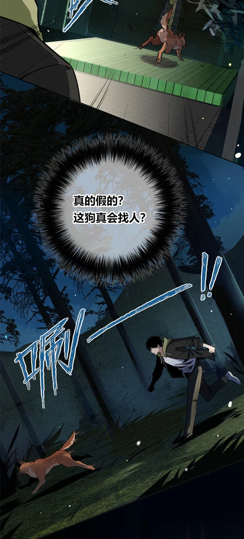 24 24 第31页