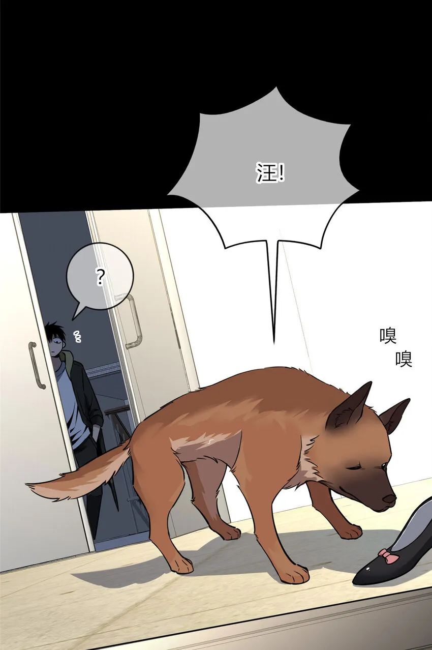 26 26 第31页