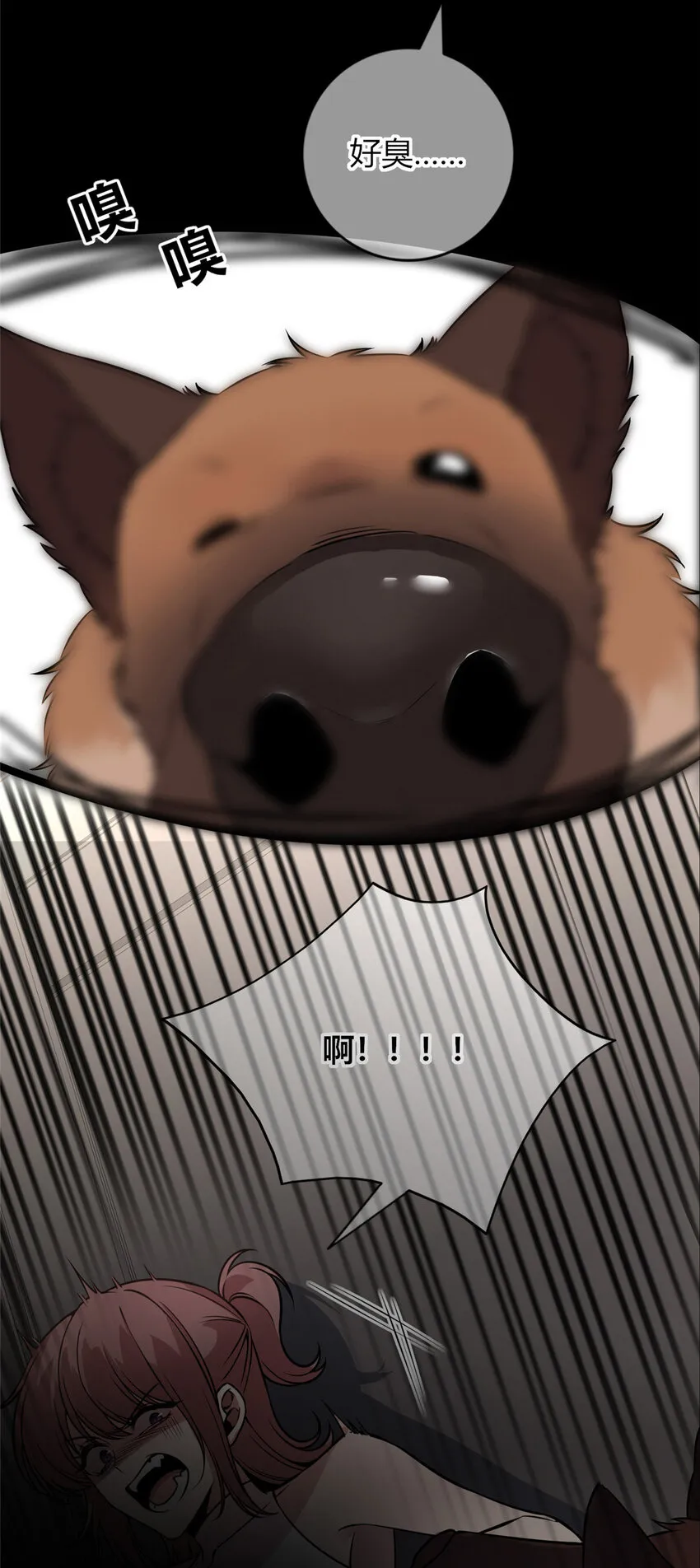 27 27 第2页