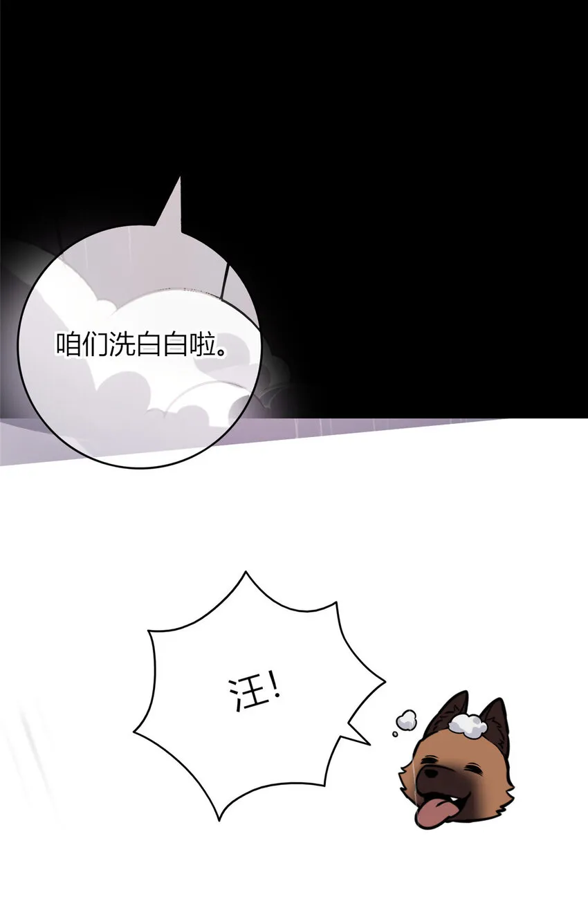 27 27 第13页