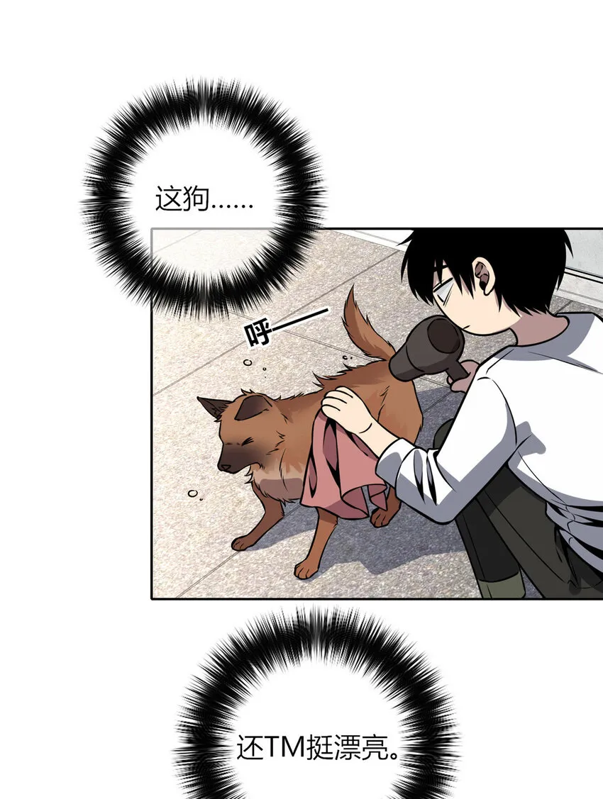 27 27 第14页