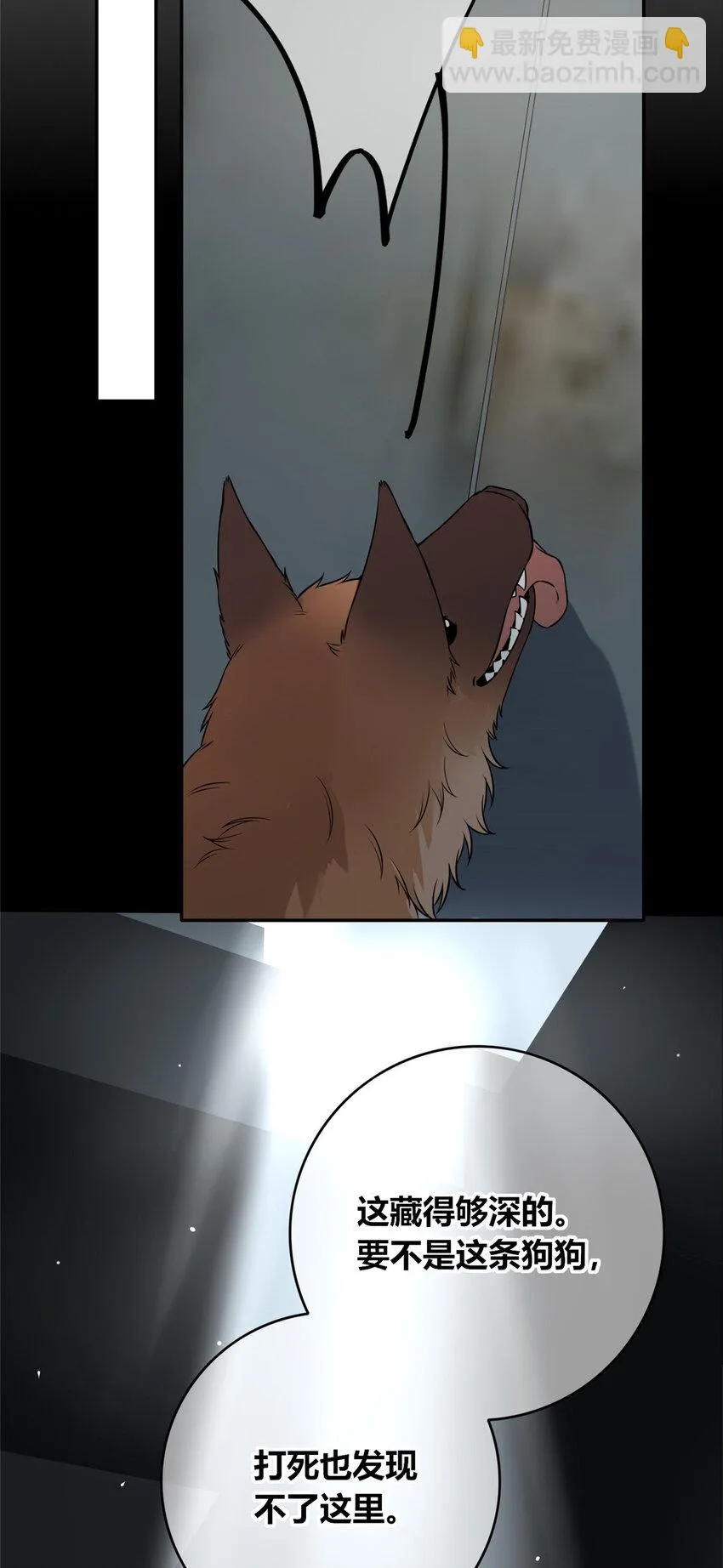 84 84 第24页