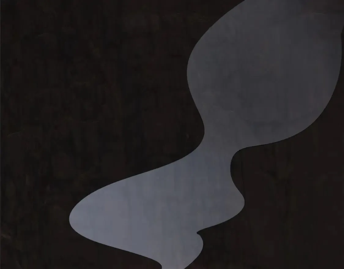 110 第79页
