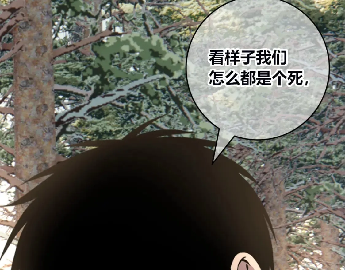 107 第14页