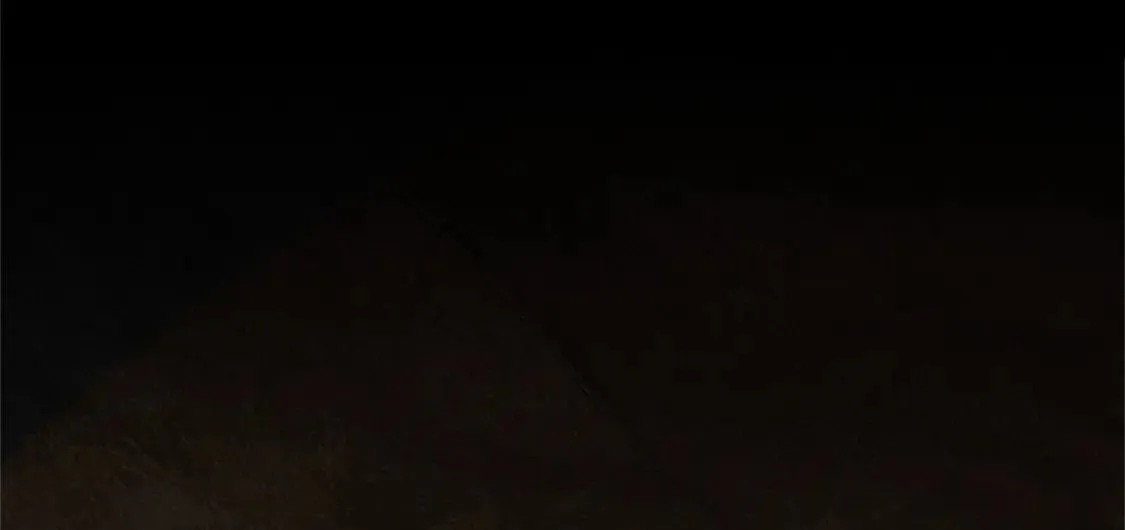 97 第12页