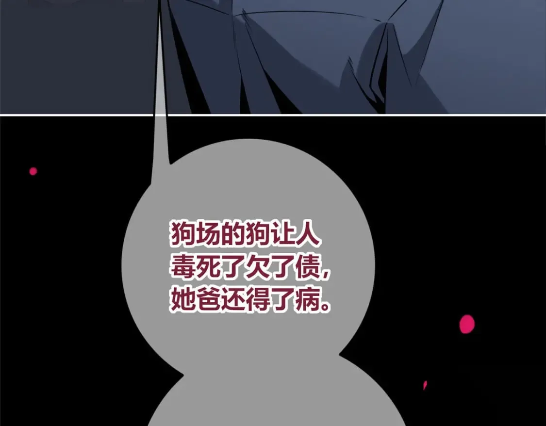 97 第119页