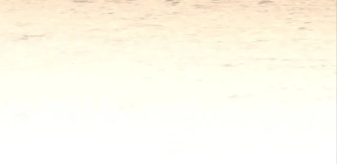 138 第121页