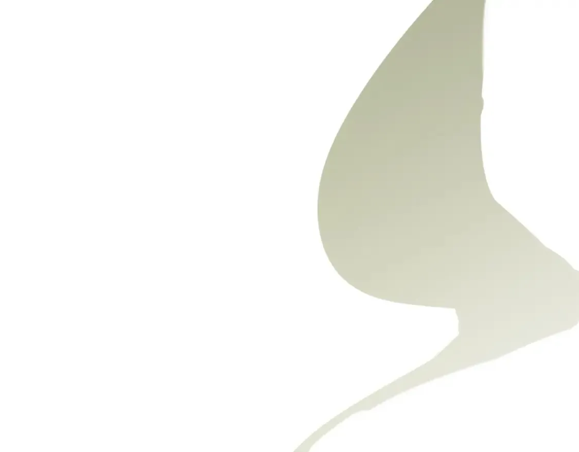 141 第41页