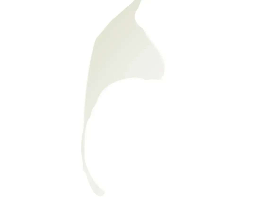 141 第42页