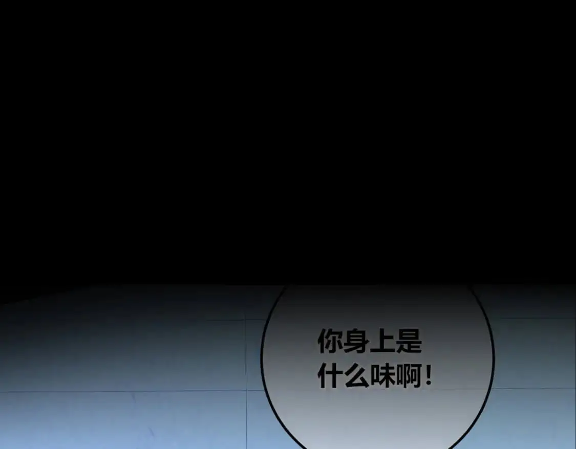 146 第6页