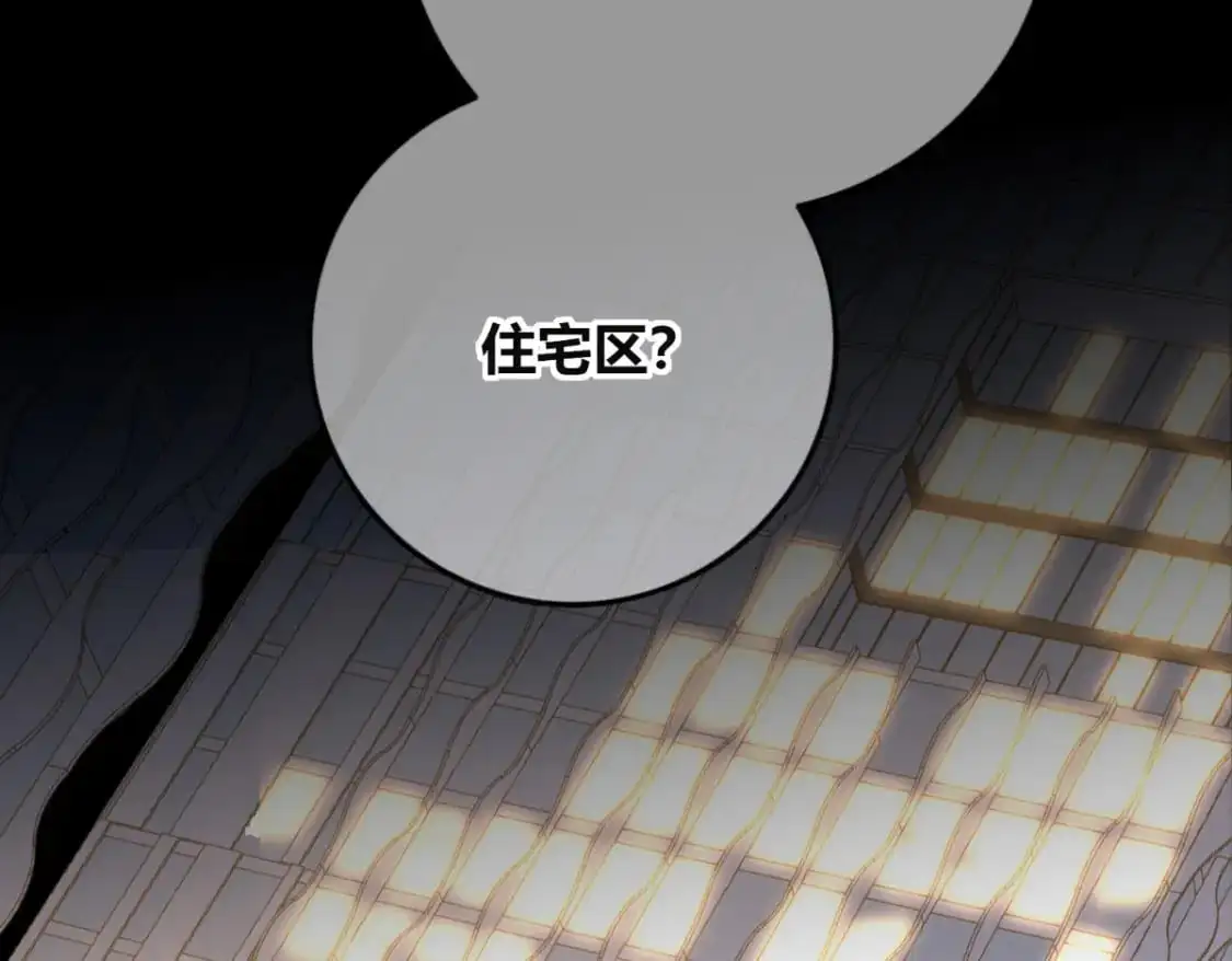 146 第22页