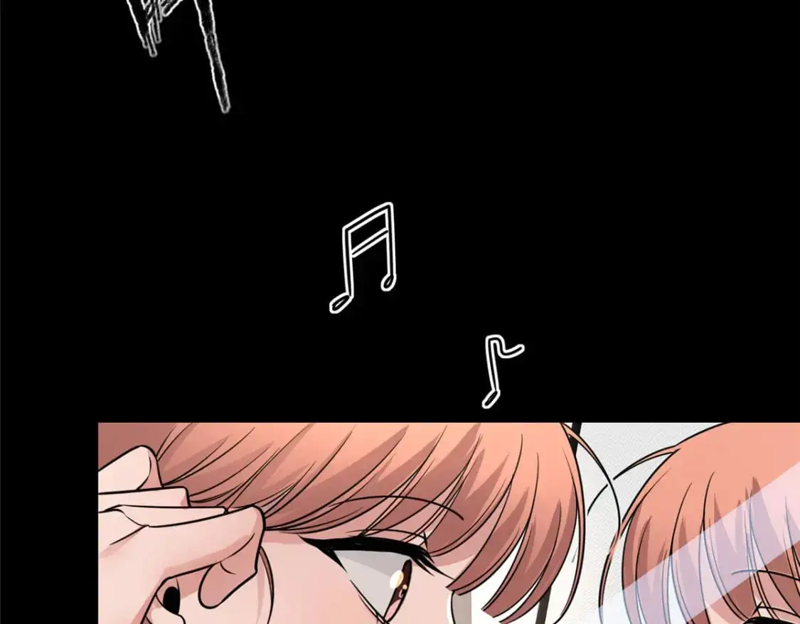 146 第41页