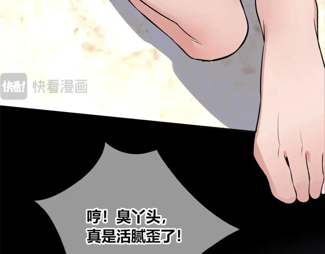 146 第62页