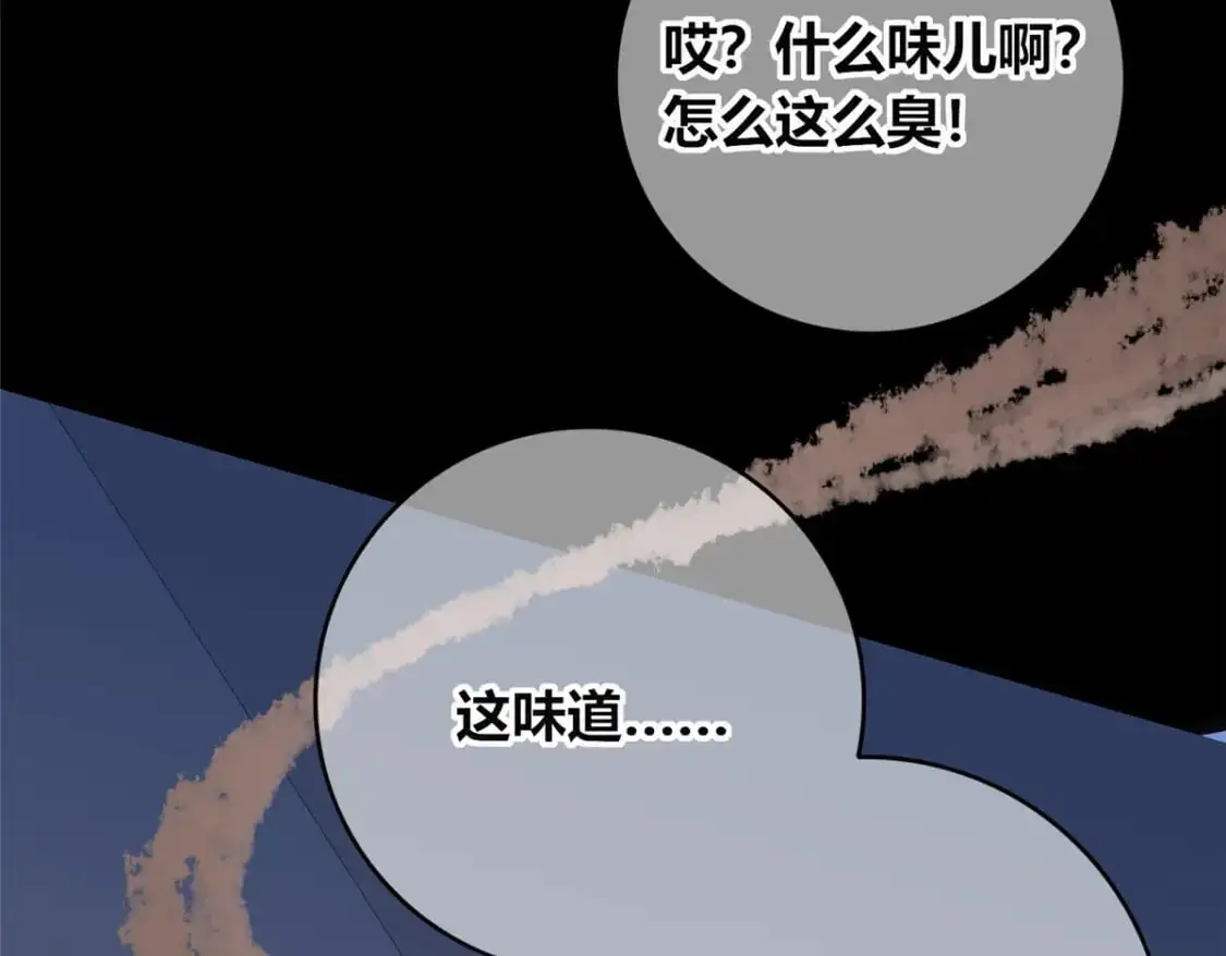 146 第79页