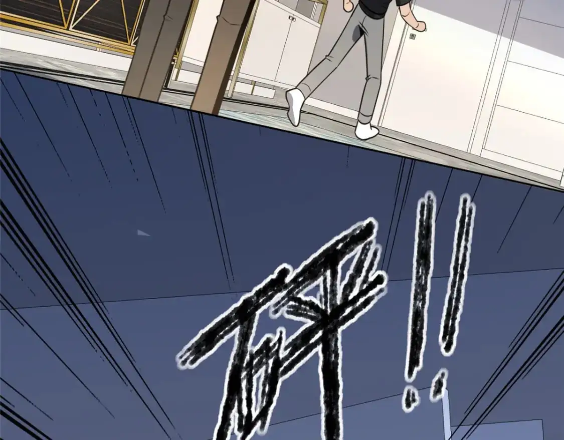 146 第81页