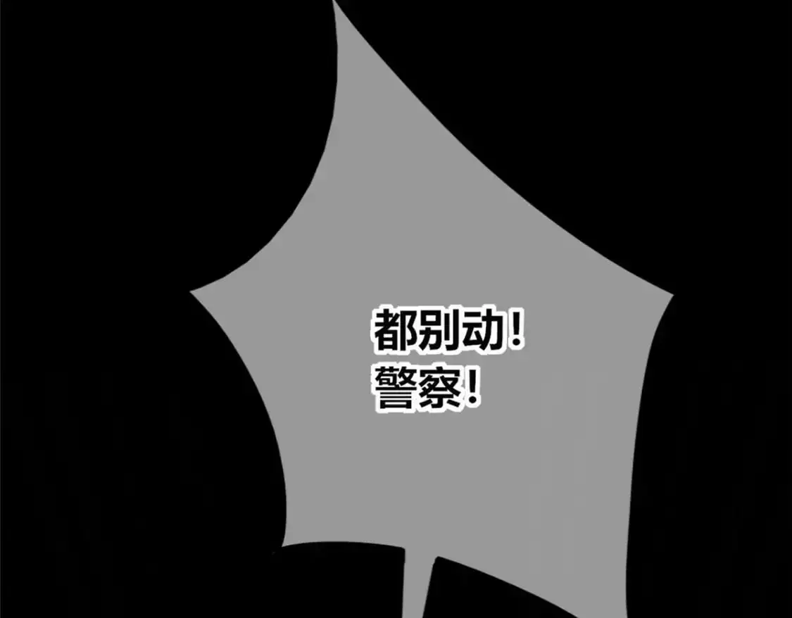 146 第84页
