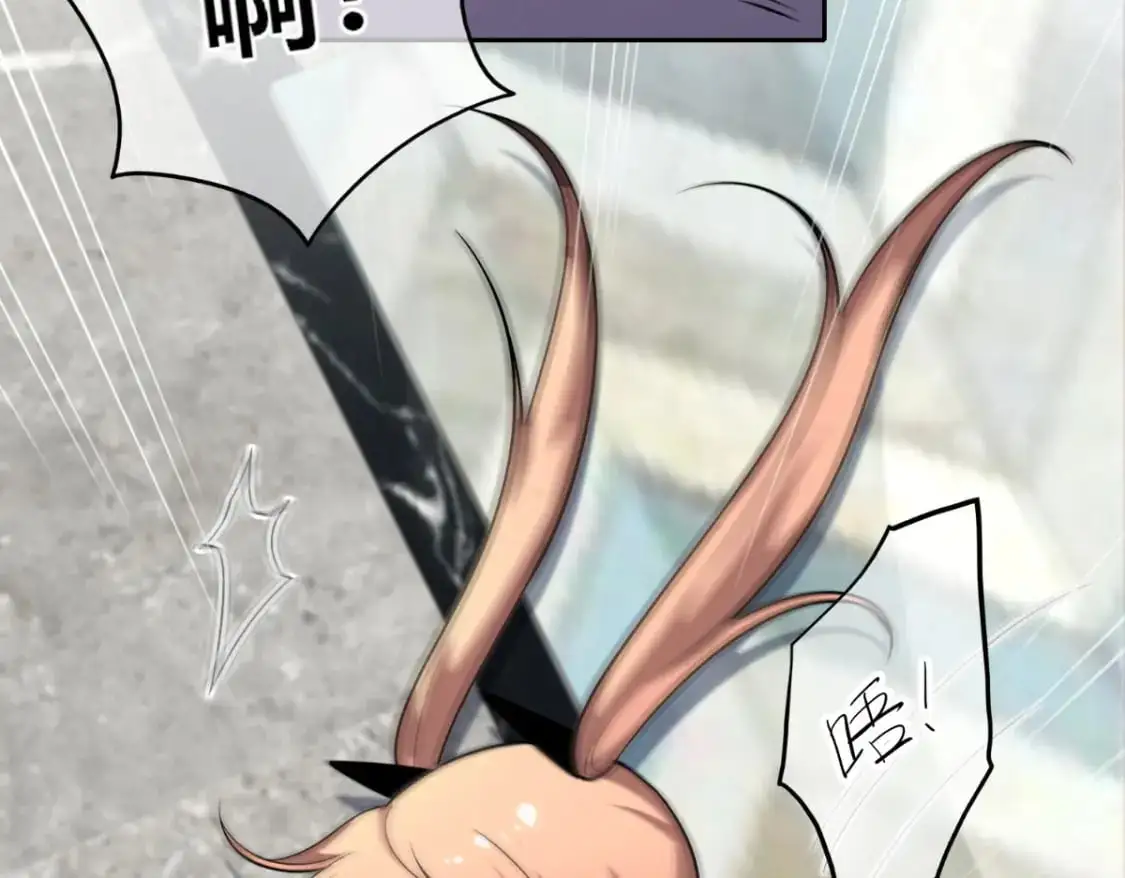 147 第19页