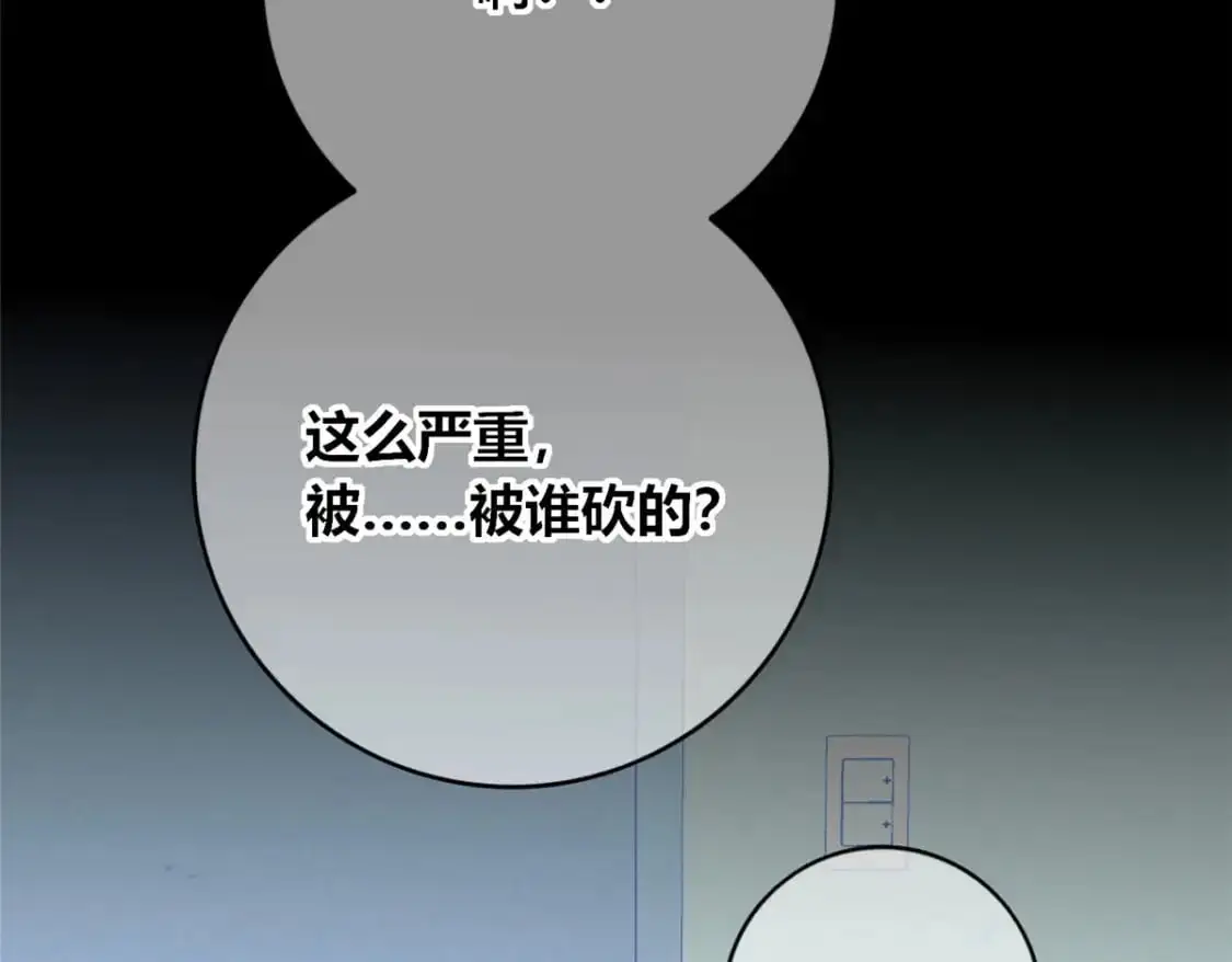 149 第50页