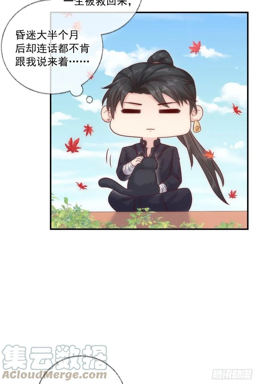 未来可期喵~ 第3页