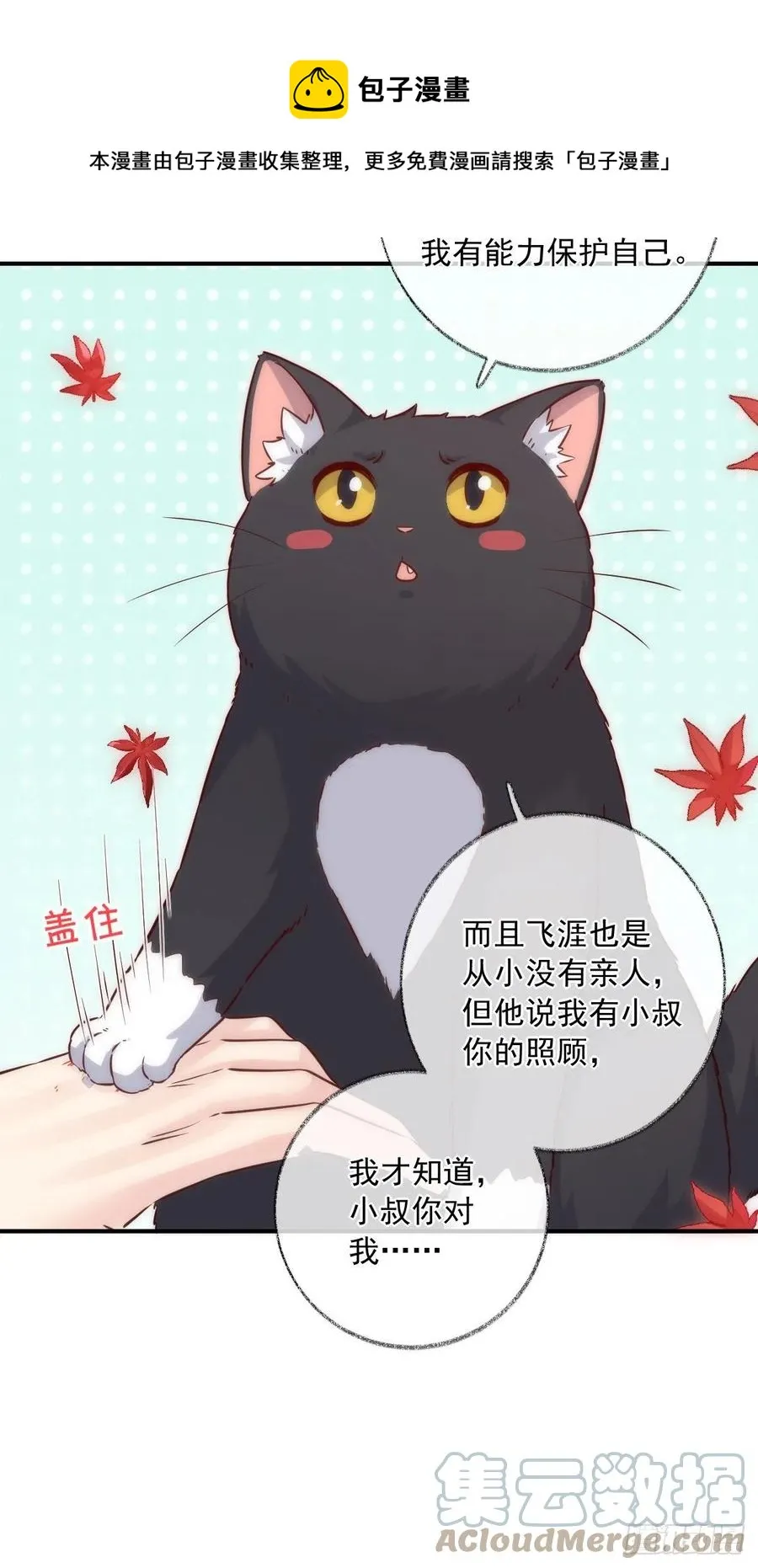 未来可期喵~ 第7页