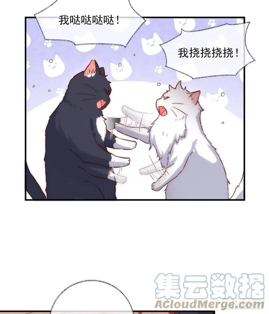 说不出再见喵~ 第29页